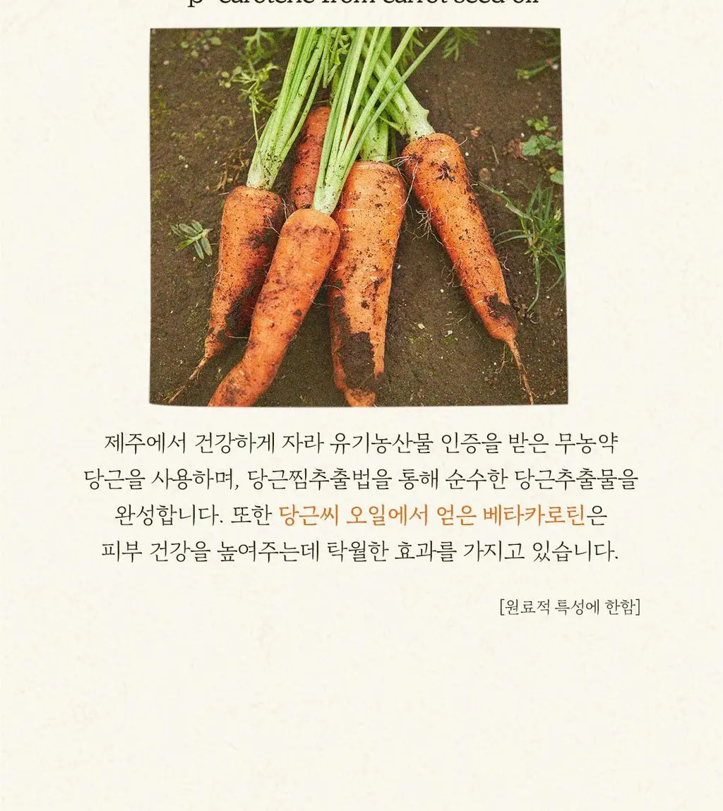 [리필기획] 스킨푸드 캐롯 카로틴 모이스트 이펙터 리필기획 (55ml+52ml) 상세페이지 11